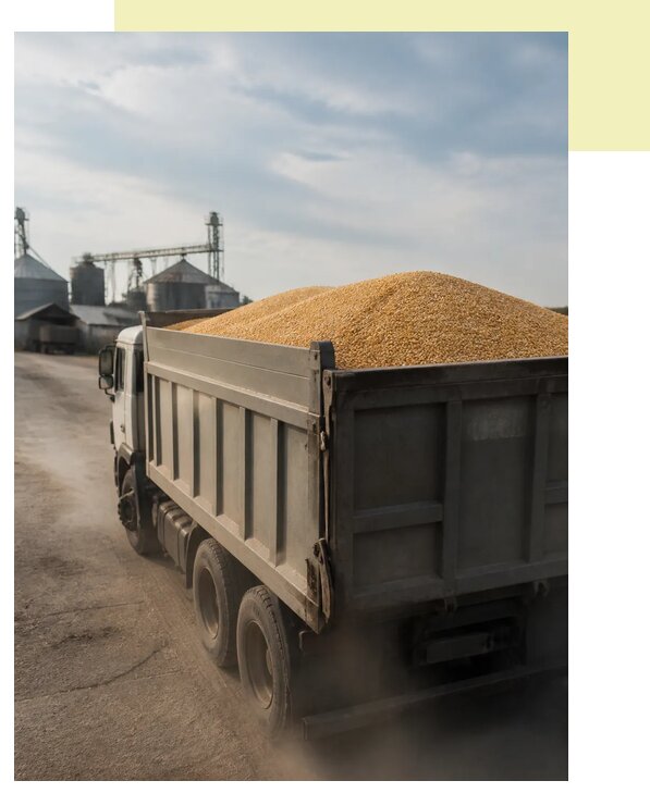 Перевозка сельхозпродукции навалом в Уссурийск по цене от 3093 р. | Агросервис-Сср